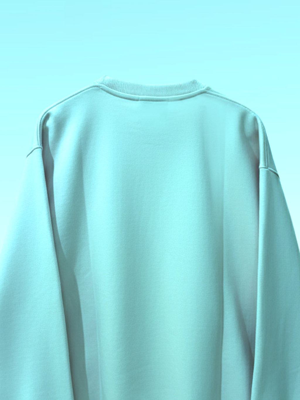POWDER BLUE PLAIN SWEATSHIRT
